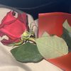sarooona982
