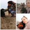 cynbaileydehondenvriend