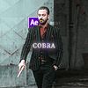 _cobraae_