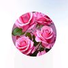 user1465405205713