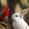 claudiar478