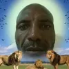 viggokson