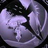 skymorgana