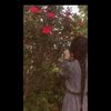 shaoohassan