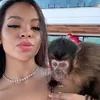 barysbc