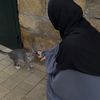 aml_ii340