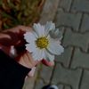 noonh014