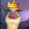 icyaash