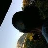 brozki1.67