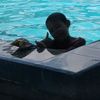 railfns_234