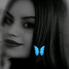 fatena66gmail.com3