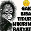 muhamadlias149