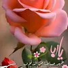 user1881504321945