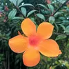 quynhnhauyen2101