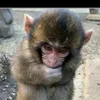 fadhel7519