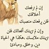 user8194754003525