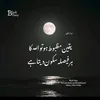 chaudharyhusnainwarraich