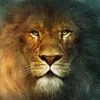 lionofbabylon6