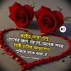 user205235182