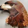 anjumjamil26