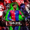 1ab.313_