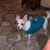 doralozito