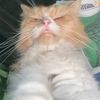kittyymi4www