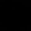 wiswis301