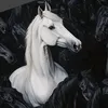 zo_zoo85