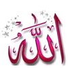 hassankoty001