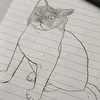 joelsaez67