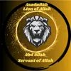 youssefabdallahasadullah