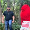 joel_the_lion_2