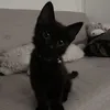 vm_crcr