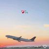 rahimhamrwi729