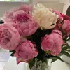 jperla76