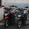 bogrekgank