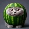 sn_olive_
