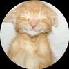 thaiguy22