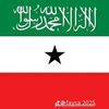 qadan155