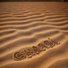 gharbi.tahir