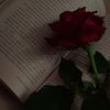 _little_darling4life