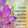 user4443235204800