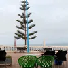 sidibaamar