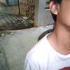 qdiel22