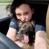 kovuthederpyshepherd