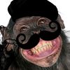zany_the_dead