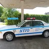 stevelynch229