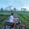 ardynsyh087