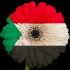 احمد